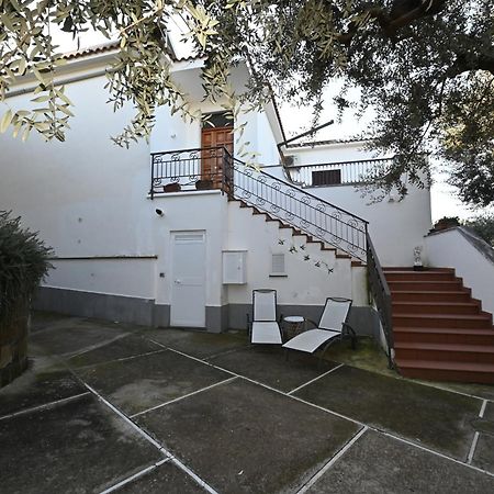 Il Nido Del Gabbiano Daire Massa Lubrense Dış mekan fotoğraf