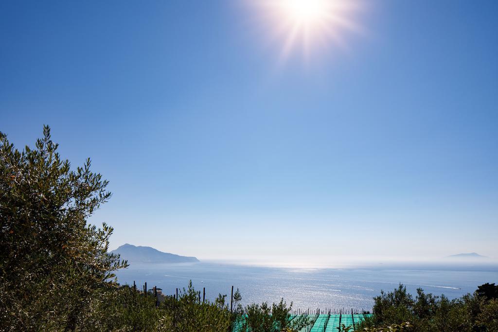 Il Nido Del Gabbiano Daire Massa Lubrense Dış mekan fotoğraf